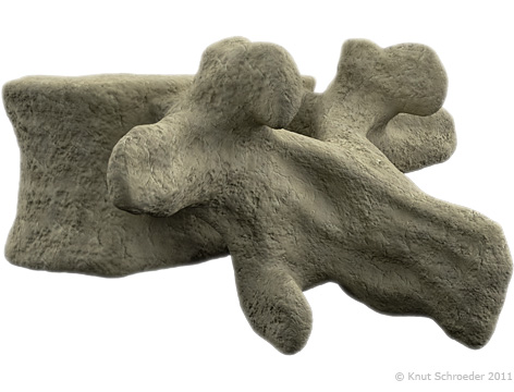 art3D Lendenwirbel